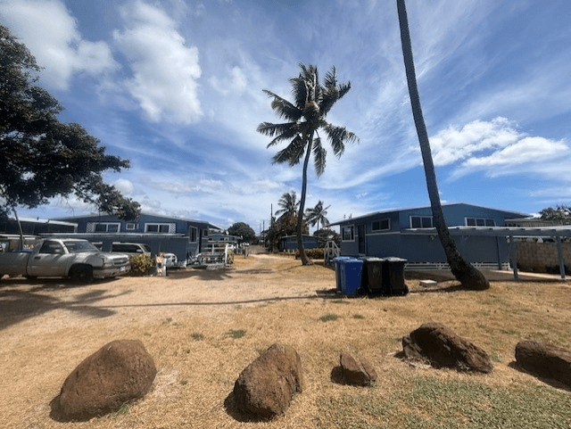 A parking lot with a few cars and a palm tree.